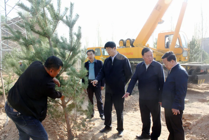 榆林市级领导到“塞上森林城”提质增效行动白鹭煤矿认领地视察指导工作